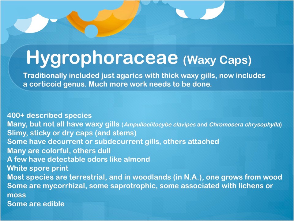 Slide32