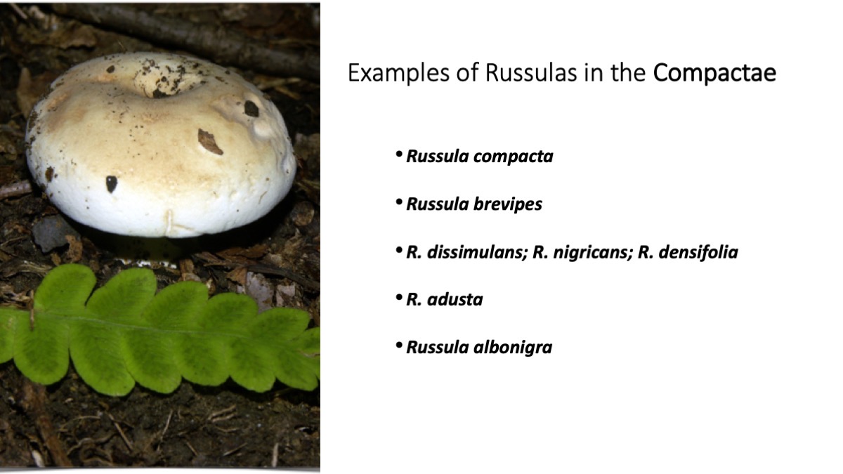 Slide33