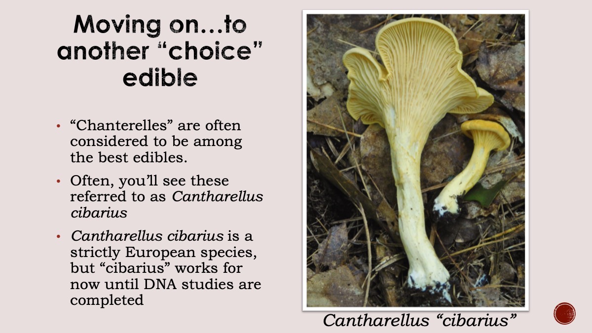 Slide32