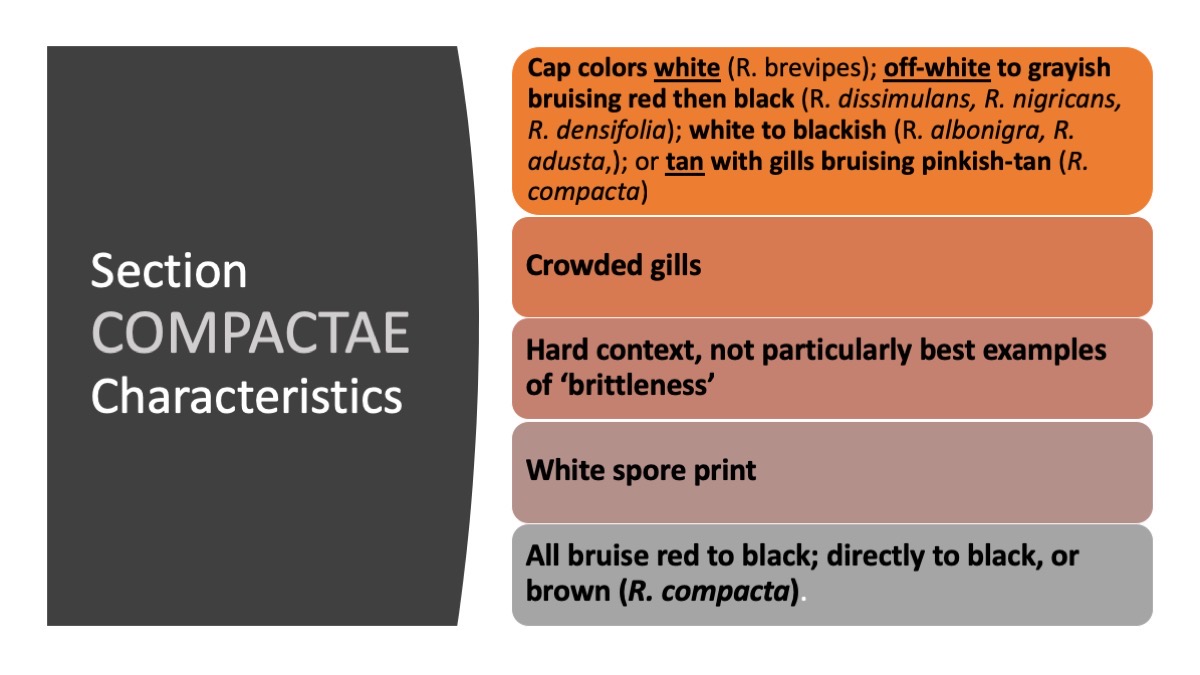 Slide32