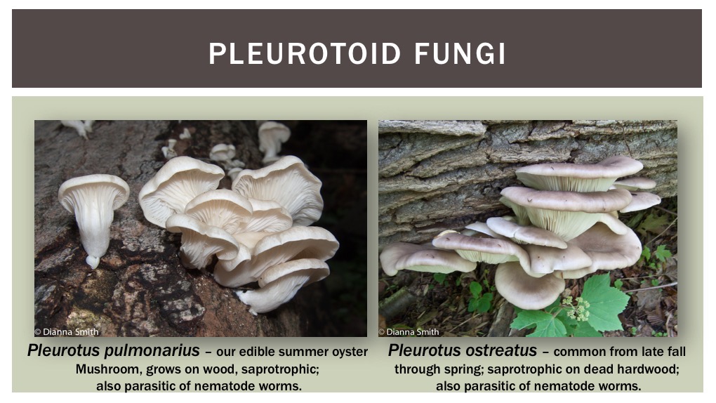 Slide32