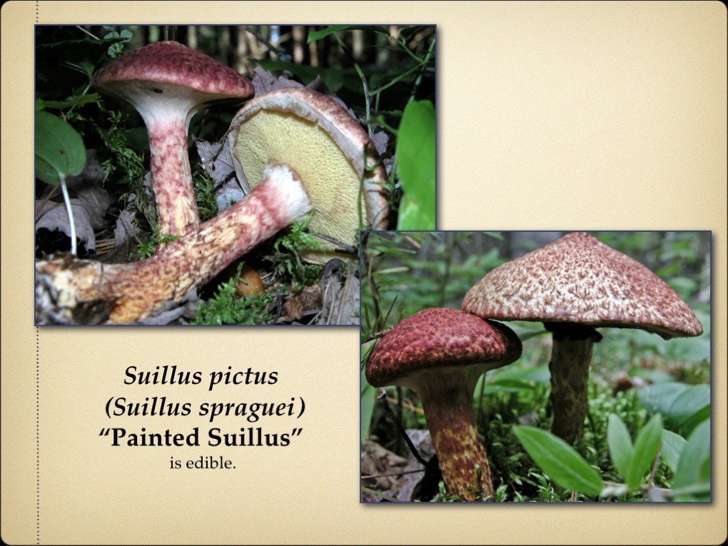 Slide33