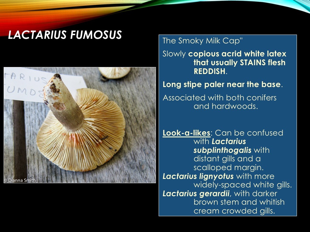 Slide33