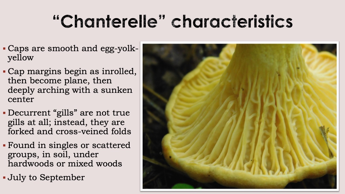 Slide33