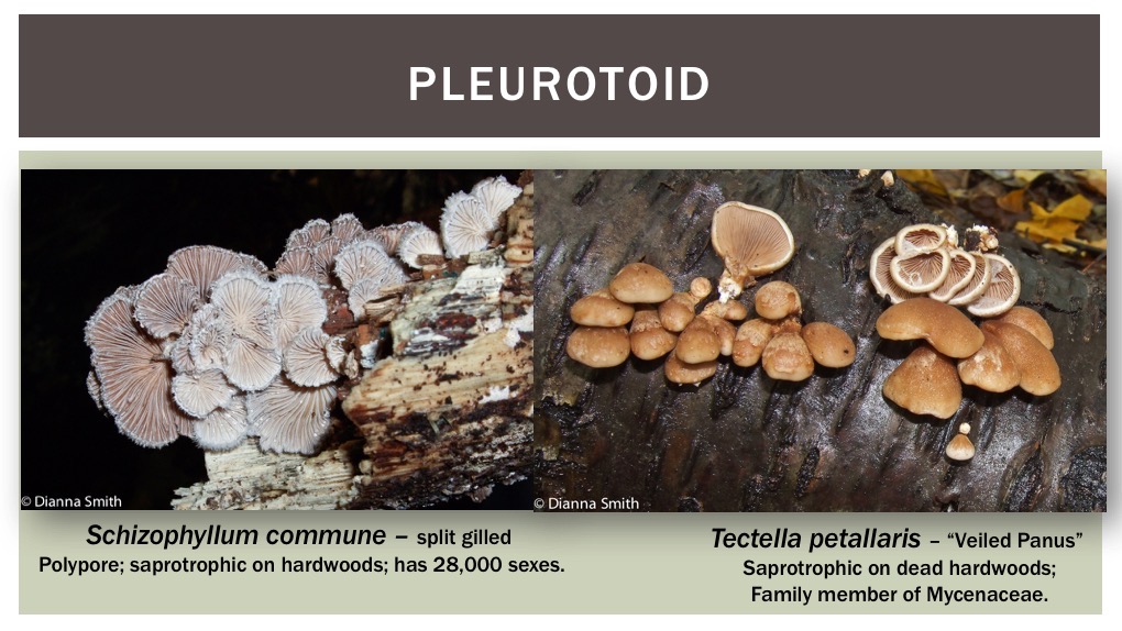 Slide33