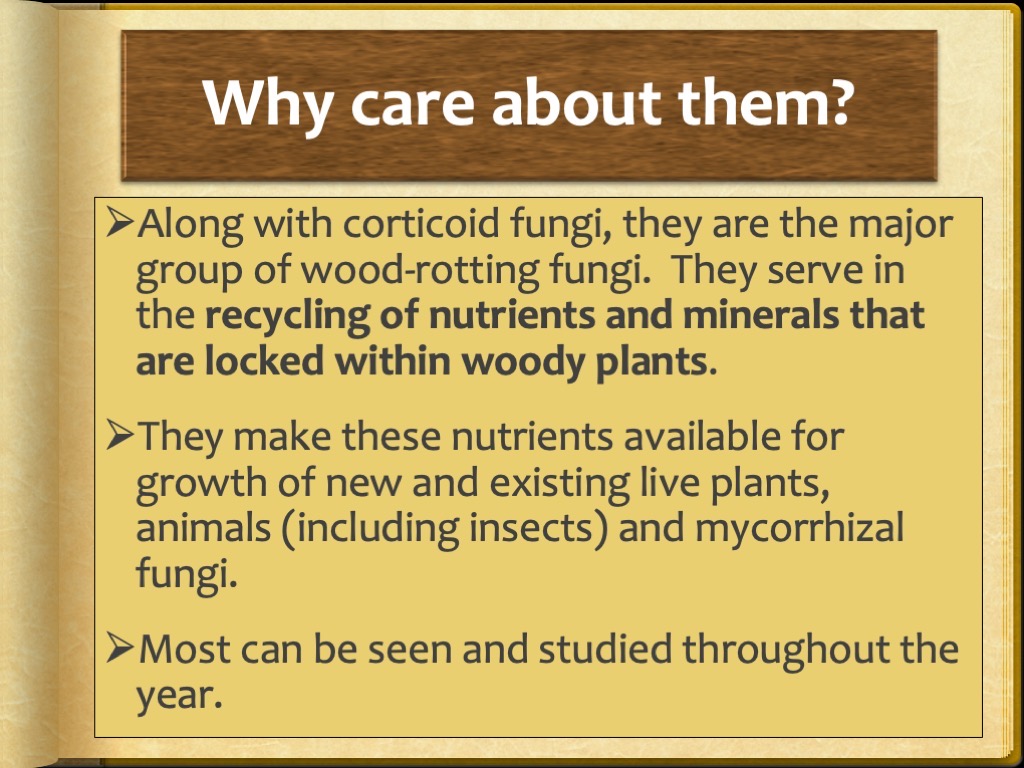 Slide33
