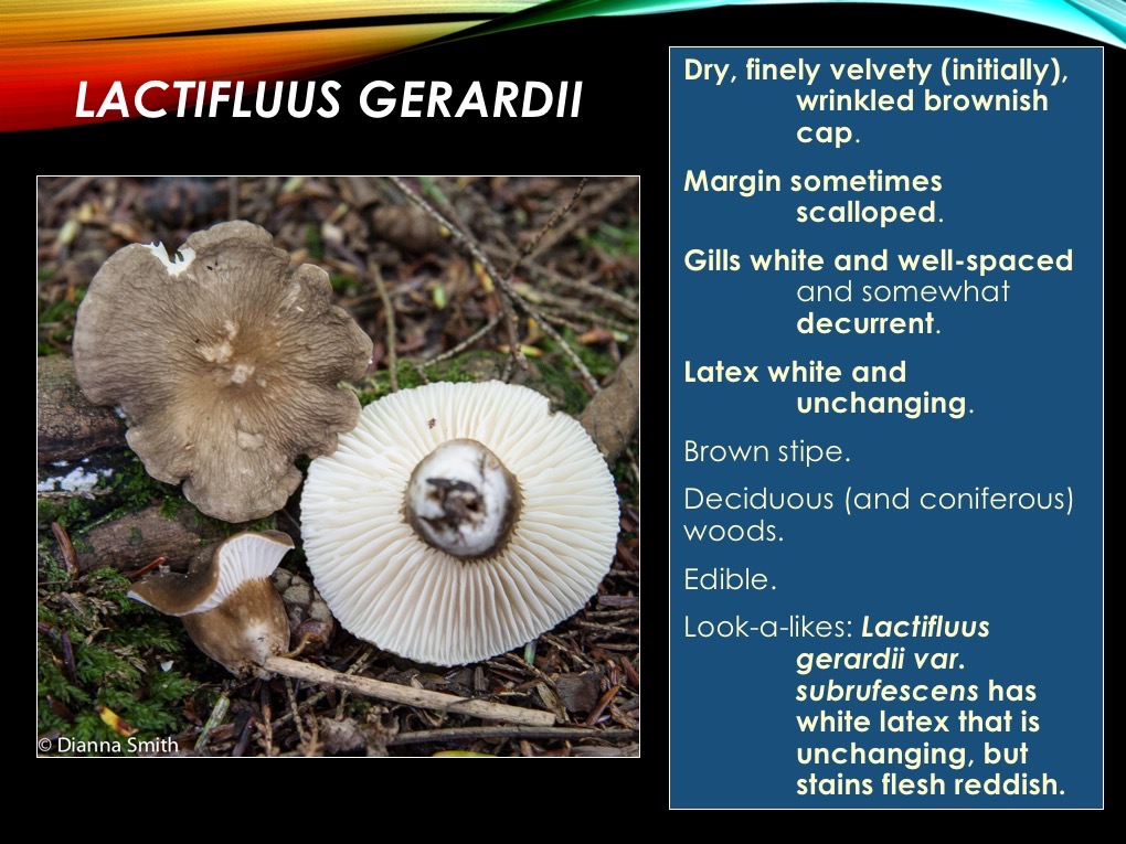Slide34