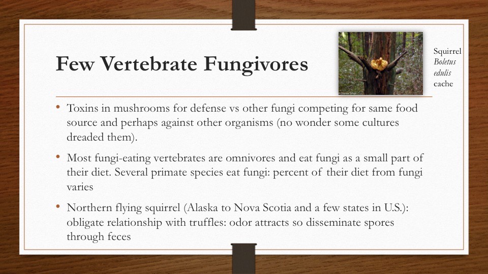 Slide34