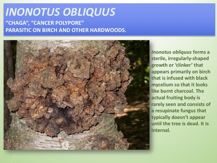Slide045