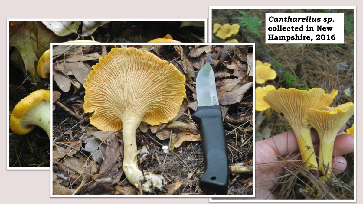 Slide34