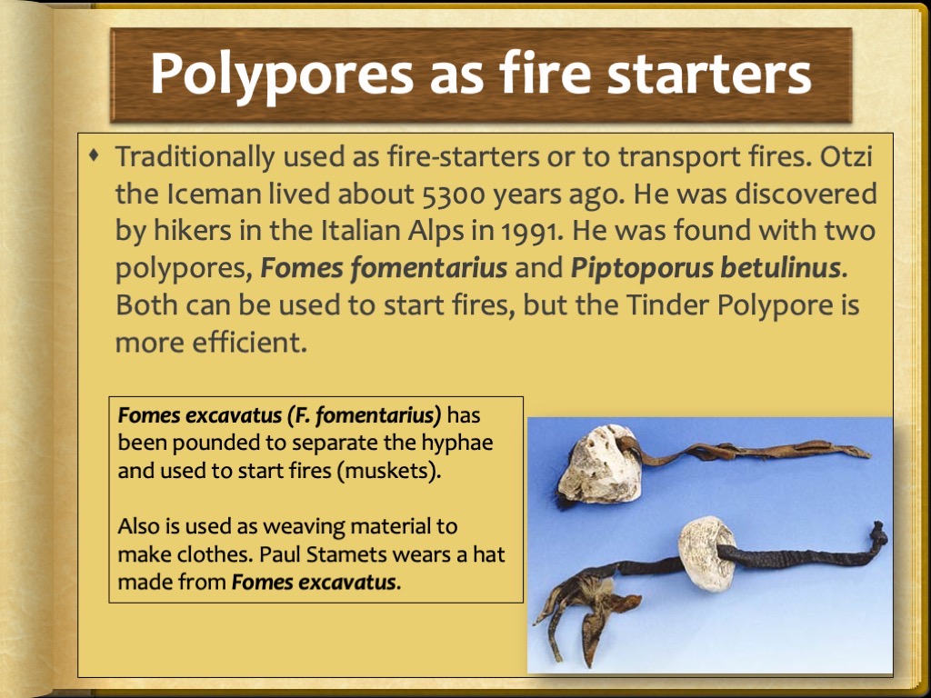 Slide34