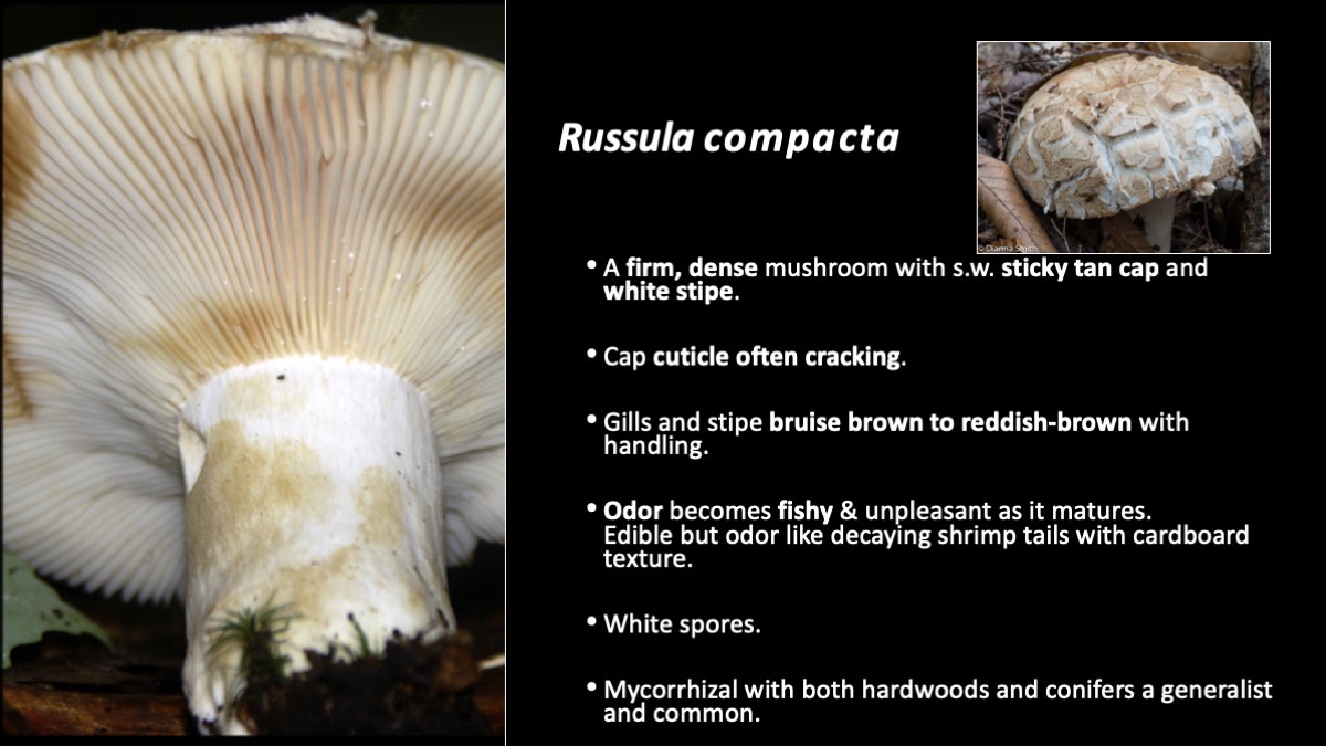 Slide34
