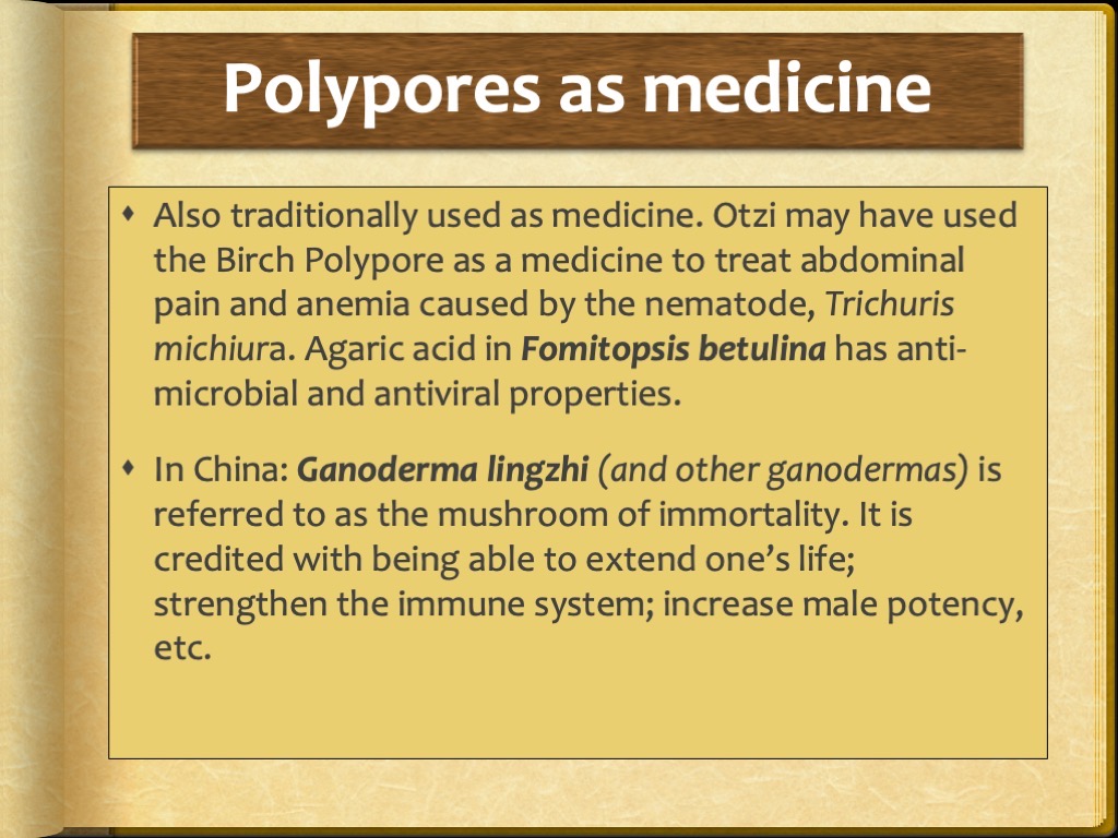 Slide35