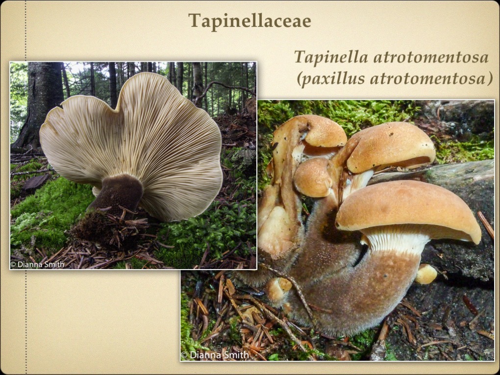 Slide35
