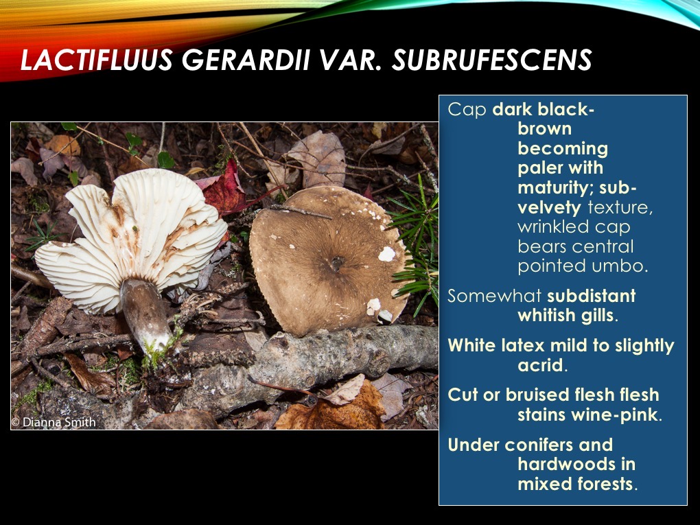 Slide35