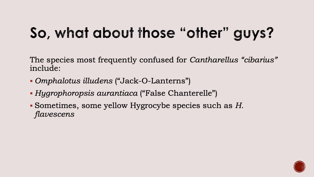 Slide35