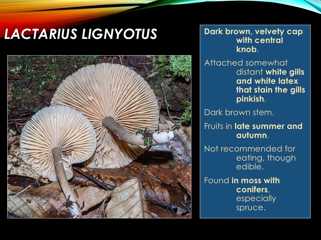 Slide36