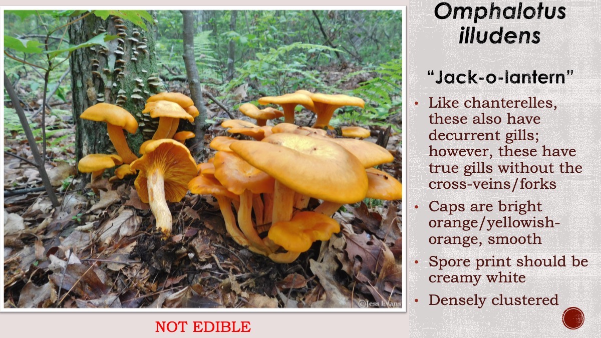 Slide36