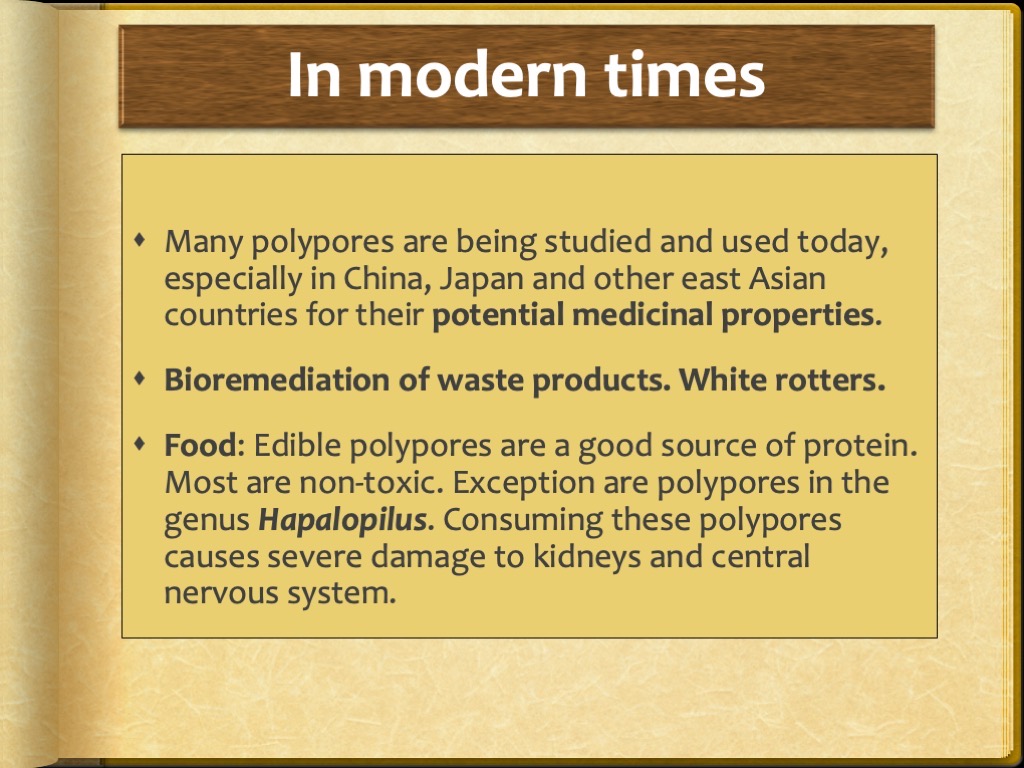 Slide36