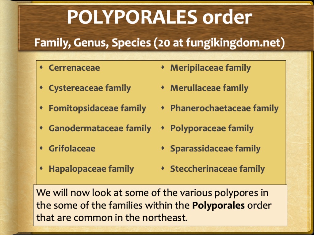 Slide37