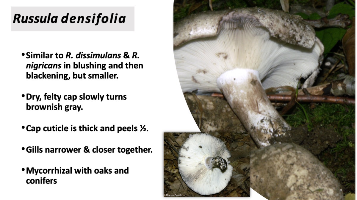 Slide37
