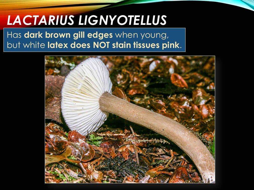 Slide38