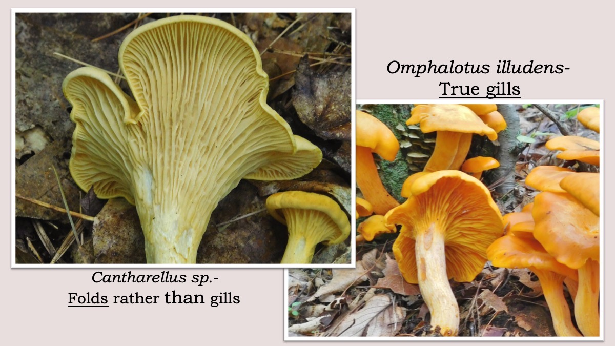 Slide38