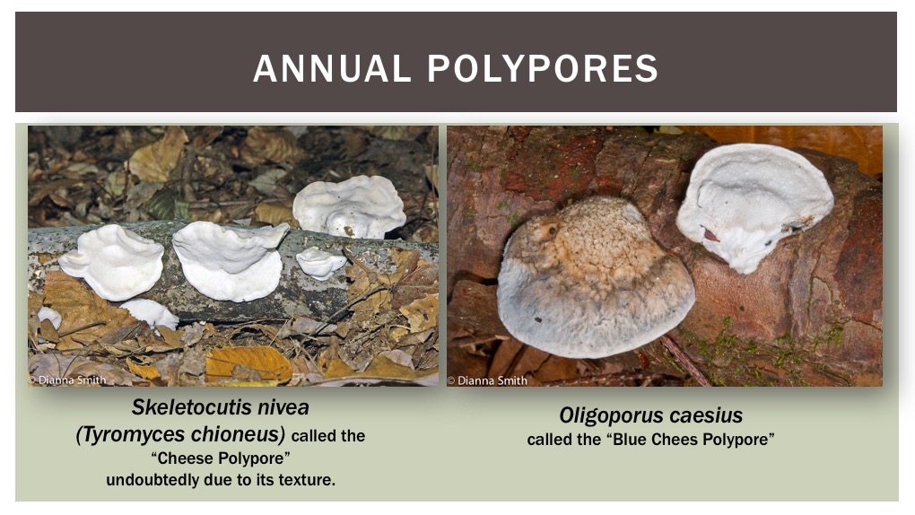 Slide38