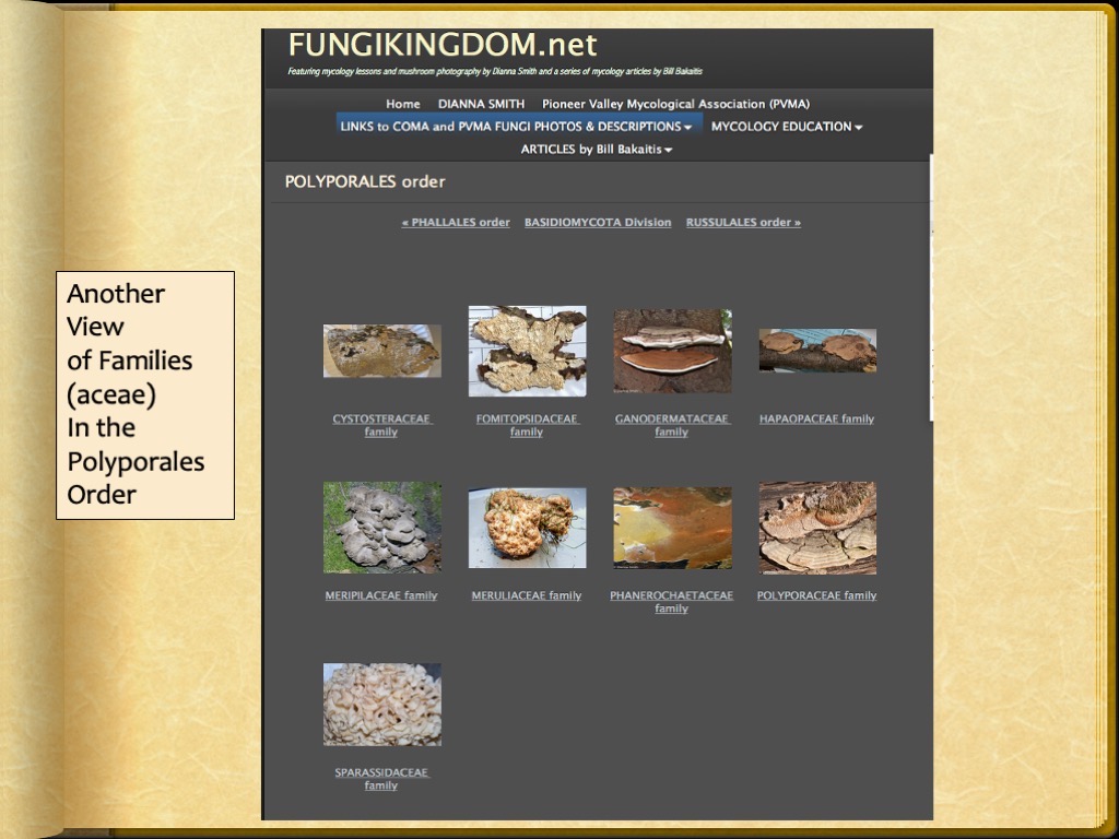 Slide38