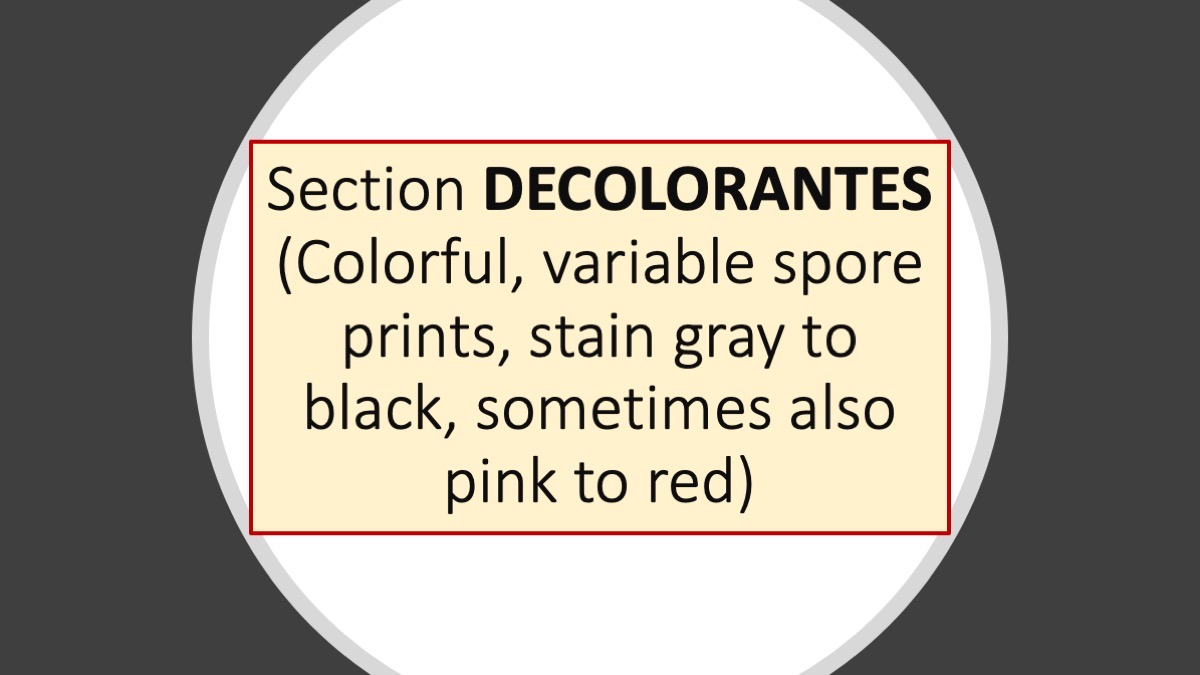 Slide39