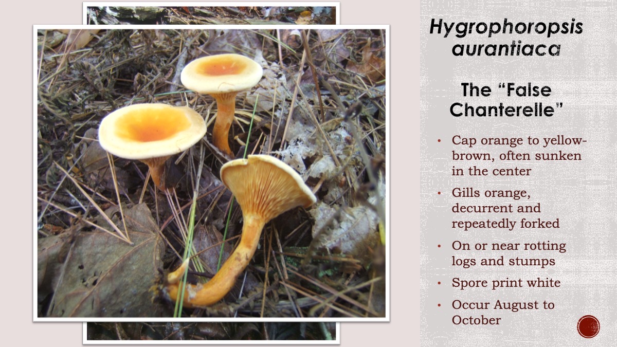 Slide39