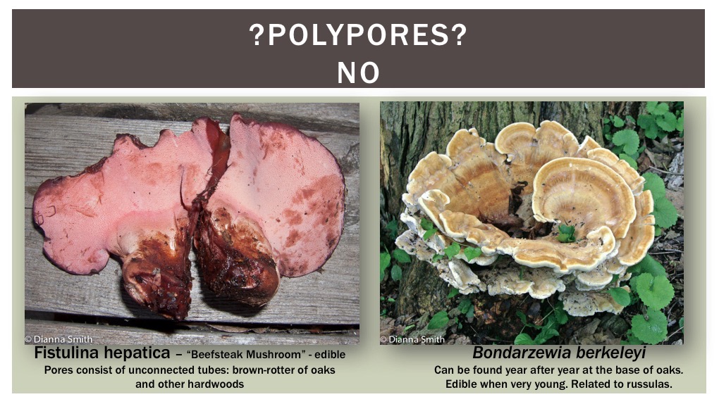 Slide39