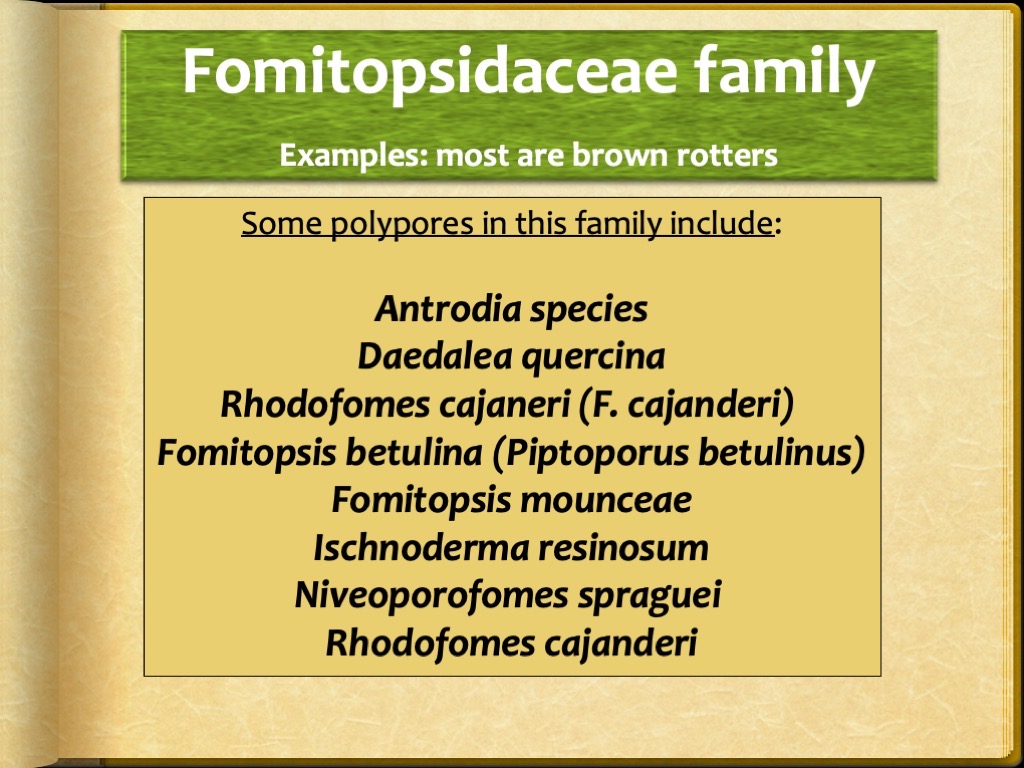 Slide39