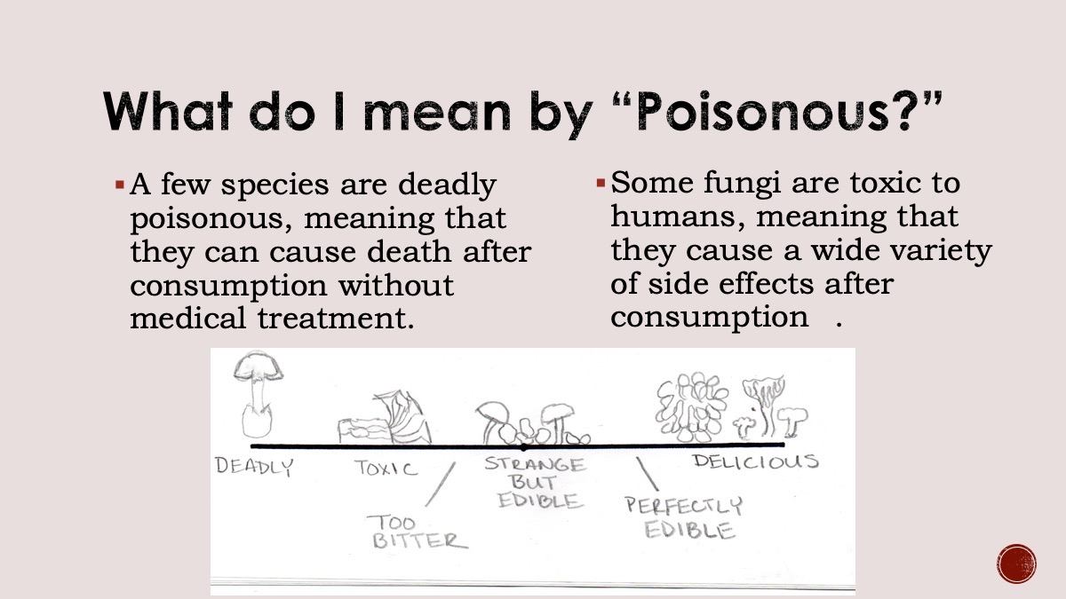 Slide4