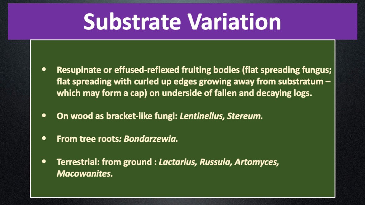 Slide4