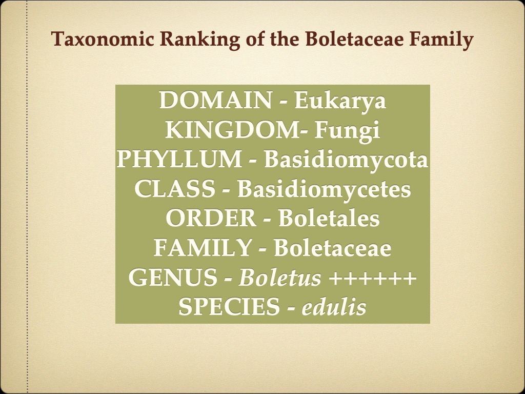 Slide4