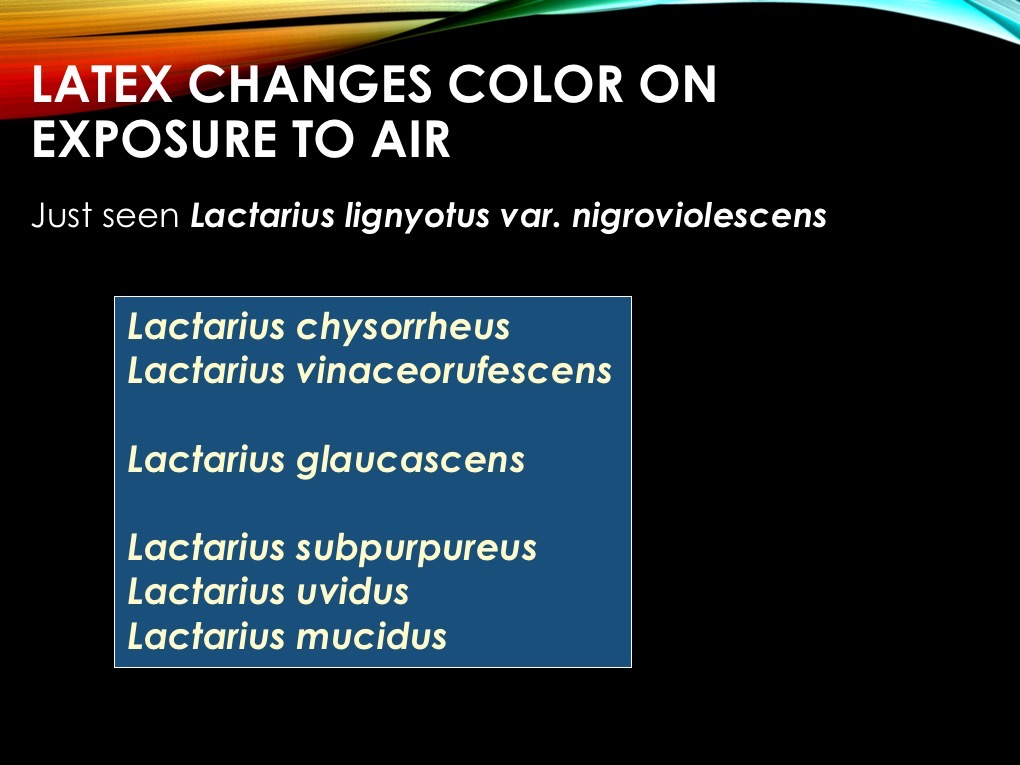 Slide40