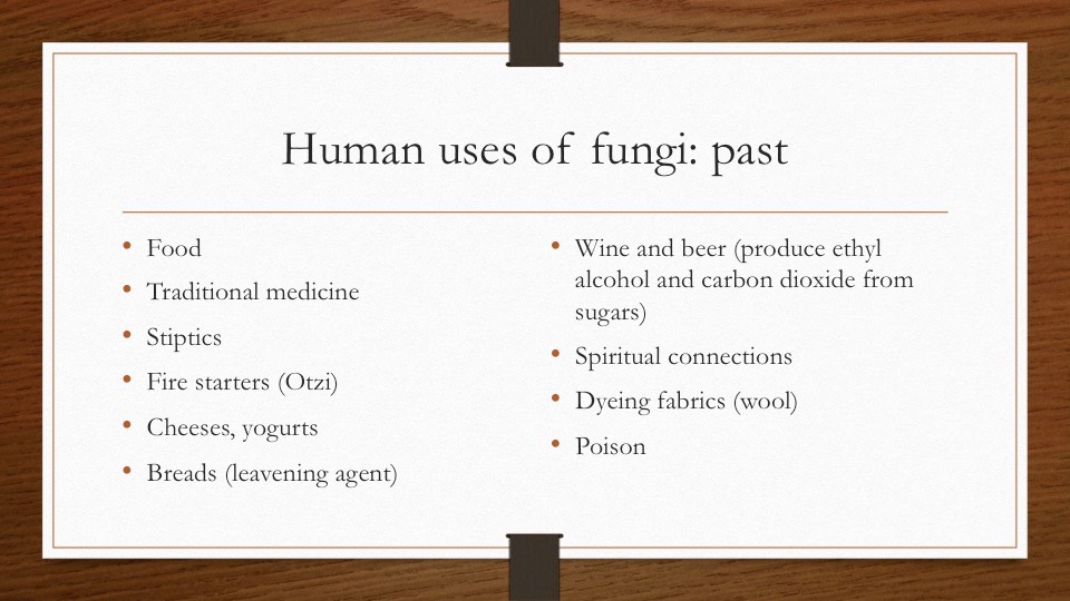Slide40