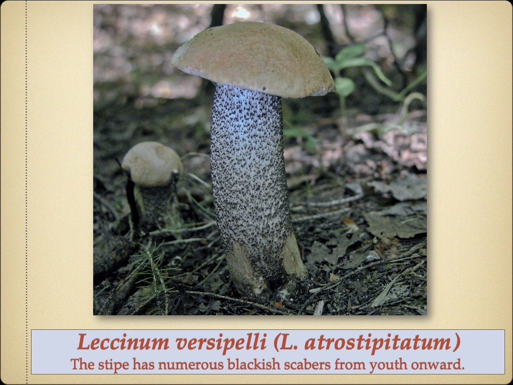 Slide40