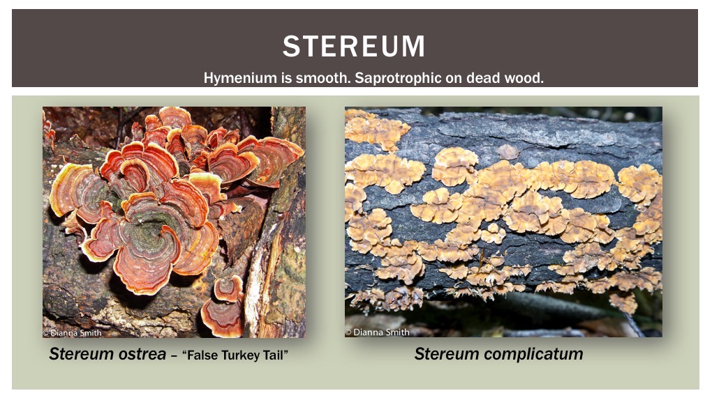 Slide40