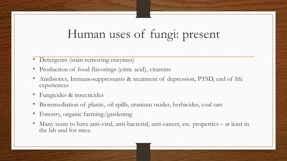 Slide41