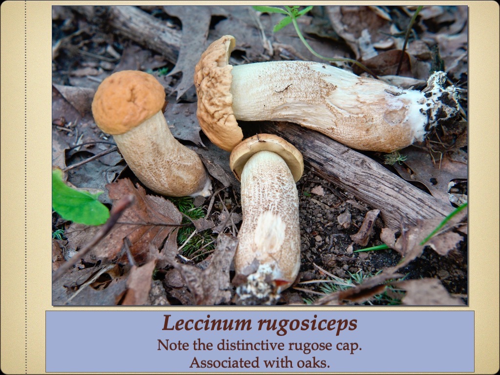 Slide41