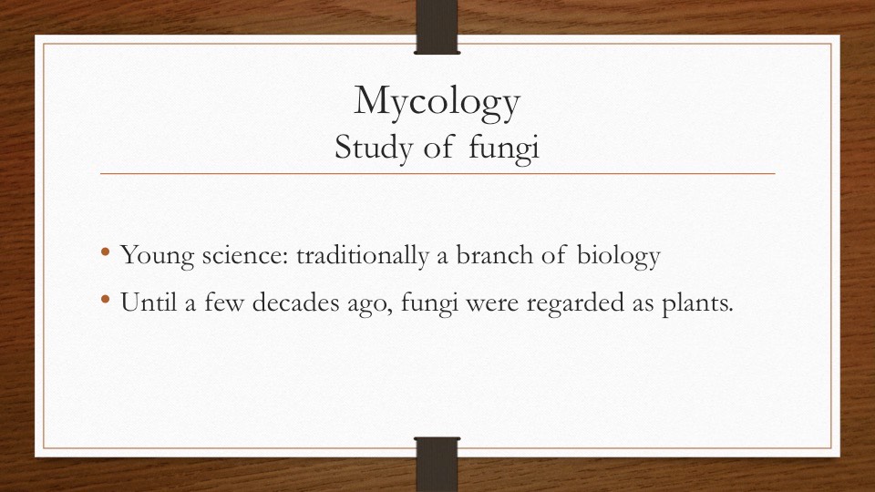 Slide42