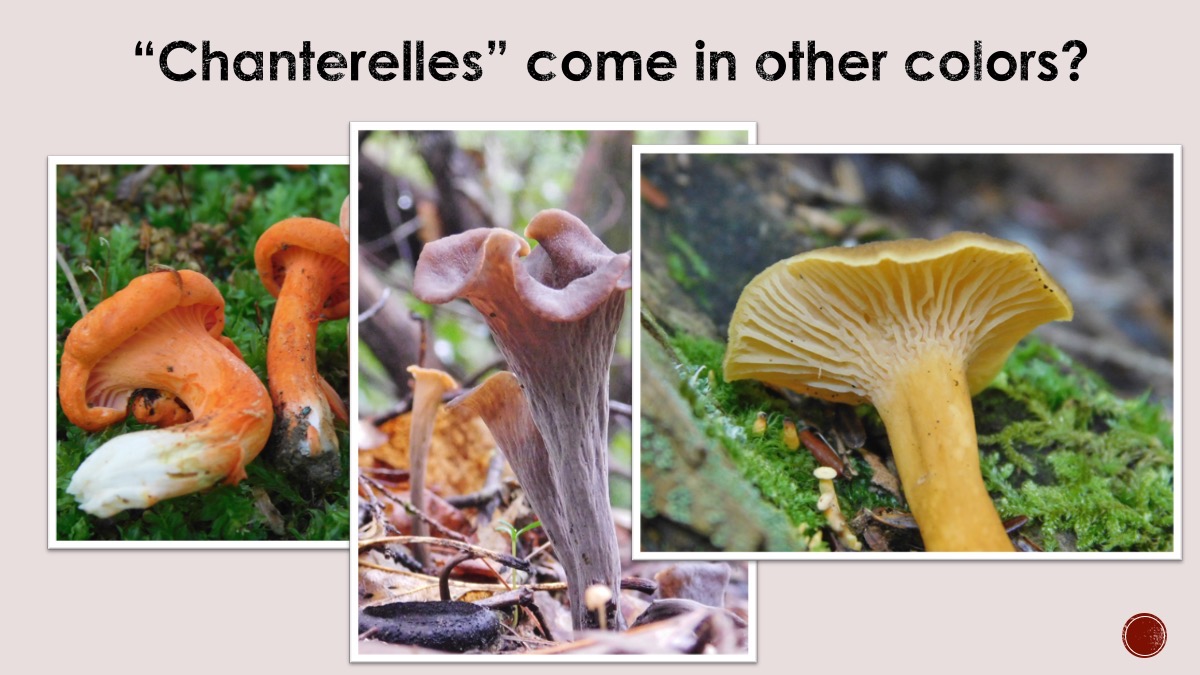 Slide42