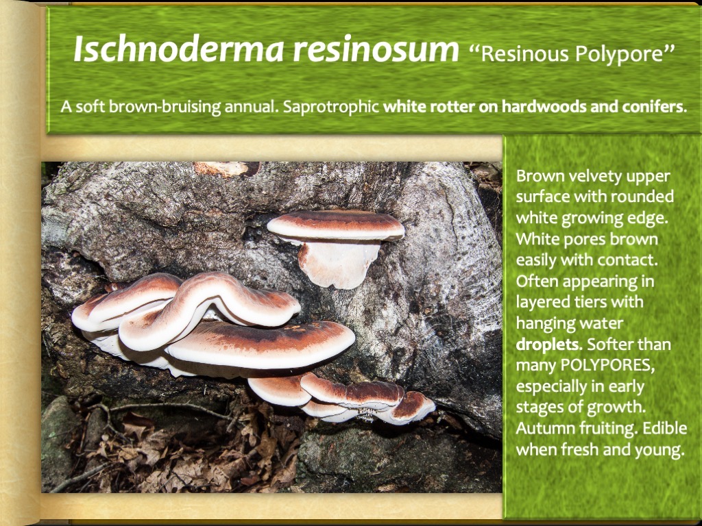 Slide43