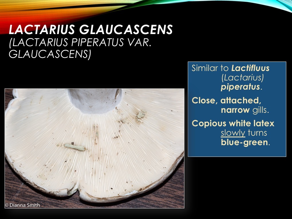 Slide43