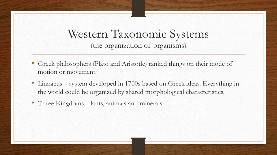 Slide43