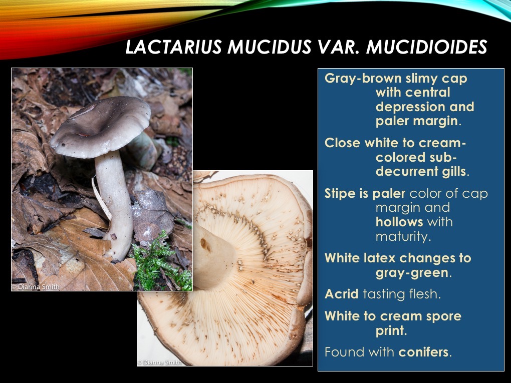 Slide44