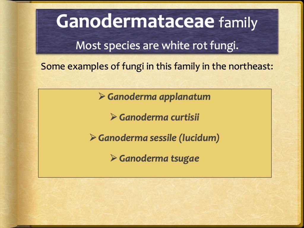 Slide46