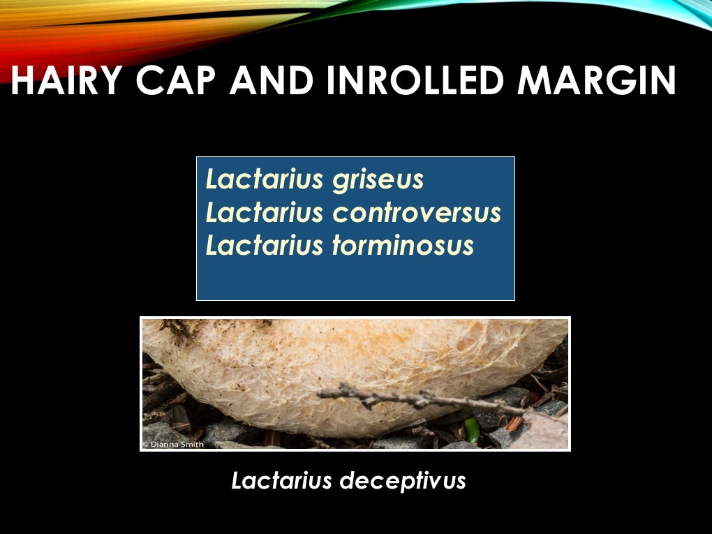 Slide46